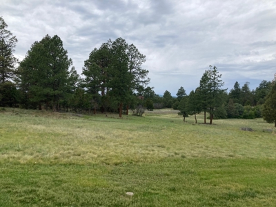 Golf Lover's Paradise:Prime Homesite Bordering Scenic Course - image 19