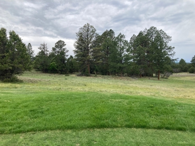 Golf Lover's Paradise:Prime Homesite Bordering Scenic Course - image 22