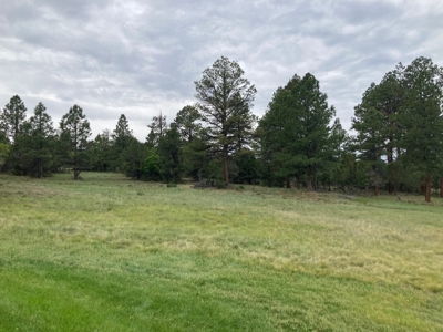 Golf Lover's Paradise:Prime Homesite Bordering Scenic Course - image 18