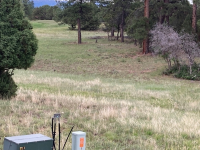 Golf Lover's Paradise:Prime Homesite Bordering Scenic Course - image 4
