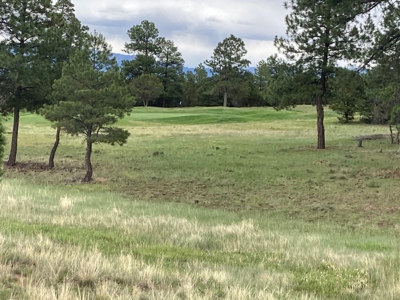 Golf Lover's Paradise:Prime Homesite Bordering Scenic Course - image 5