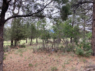 Golf Lover's Paradise:Prime Homesite Bordering Scenic Course - image 8