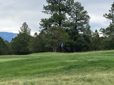 Golf Lover's Paradise:Prime Homesite Bordering Scenic Course - image 1