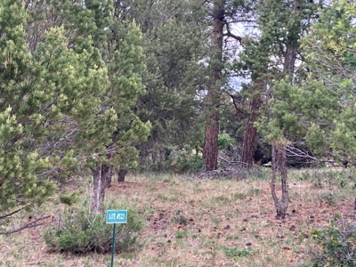 Golf Lover's Paradise:Prime Homesite Bordering Scenic Course - image 6