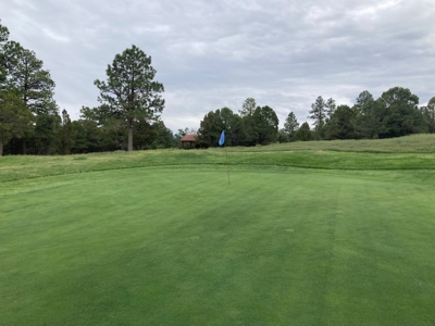 Golf Lover's Paradise:Prime Homesite Bordering Scenic Course - image 21