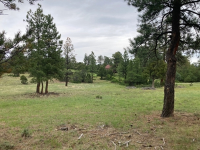 Golf Lover's Paradise:Prime Homesite Bordering Scenic Course - image 9