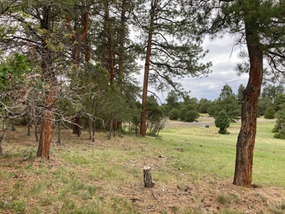 Golf Lover's Paradise:Prime Homesite Bordering Scenic Course - image 23