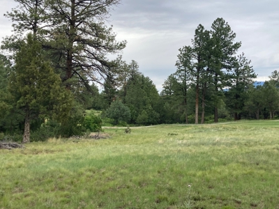 Golf Lover's Paradise:Prime Homesite Bordering Scenic Course - image 11