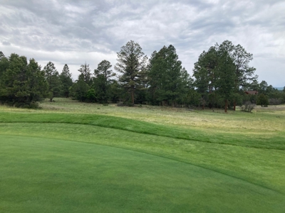 Golf Lover's Paradise:Prime Homesite Bordering Scenic Course - image 20