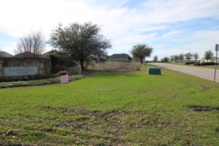 Commercial Lot For Auction Ready For Business Development - image 4