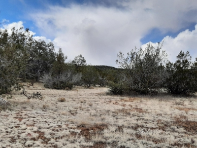 Rural off grid Northern AZ Property - image 1