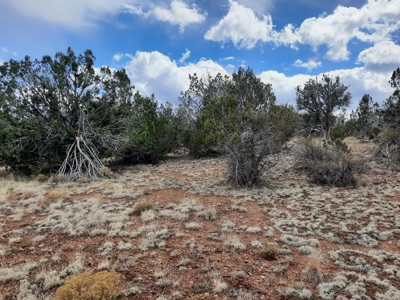 Rural off grid Northern AZ Property - image 4