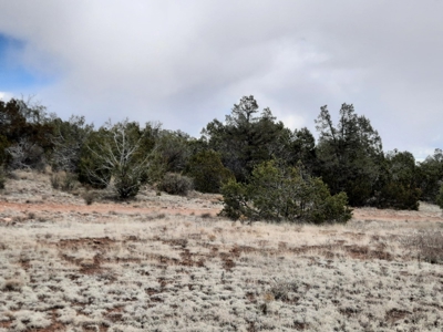 Rural off grid Northern AZ Property - image 7