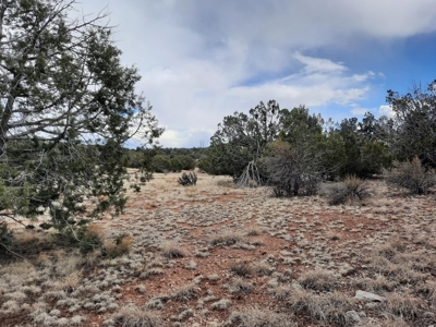 Rural off grid Northern AZ Property - image 6