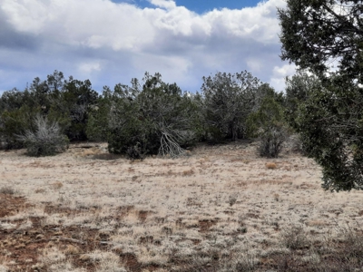 Rural off grid Northern AZ Property - image 8