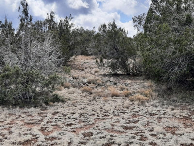 Rural off grid Northern AZ Property - image 2