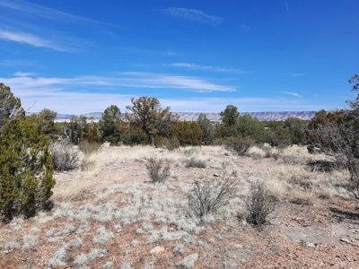Remote Northern AZ off grid property - image 7
