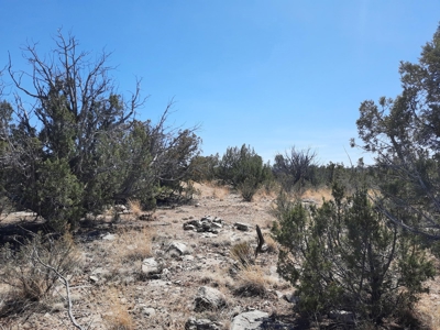 Remote Northern AZ off grid property - image 3