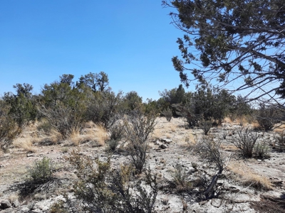 Remote Northern AZ off grid property - image 4