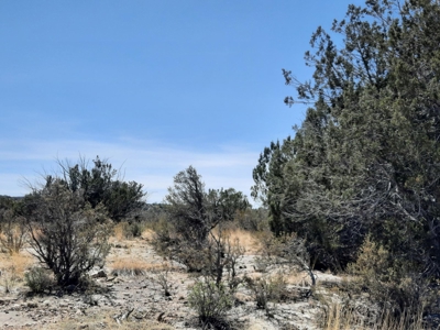 Remote Northern AZ off grid property - image 6