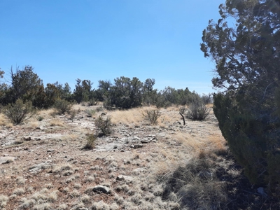 Remote Northern AZ off grid property - image 9