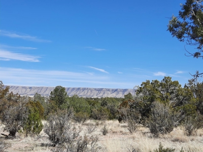 Remote Northern AZ off grid property - image 1