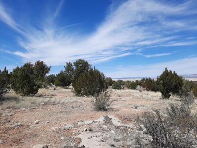Remote Northern AZ off grid property - image 8