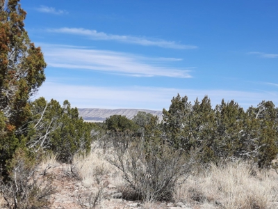 Remote Northern AZ off grid property - image 2