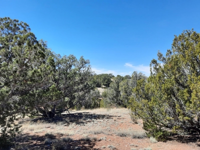 3 acres of Northern AZ off grid mountain property - image 9