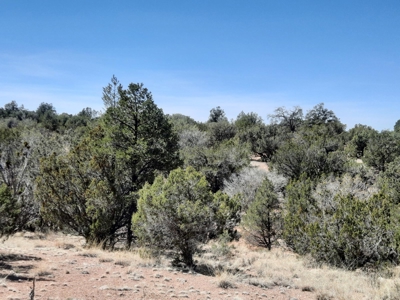 3 acres of Northern AZ off grid mountain property - image 3
