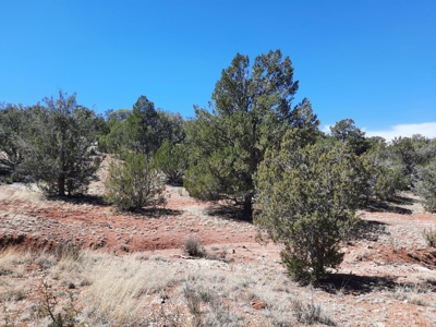 3 acres of Northern AZ off grid mountain property - image 7