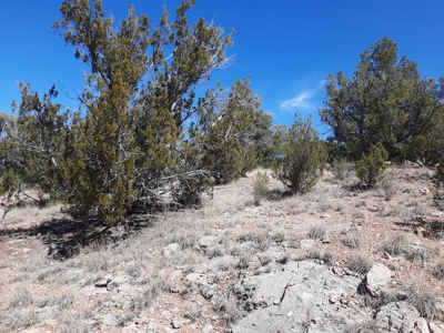 3 acres of Northern AZ off grid mountain property - image 5
