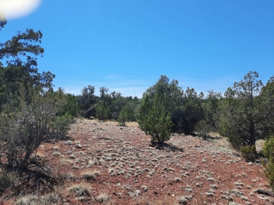 3 acres of Northern AZ off grid mountain property - image 10