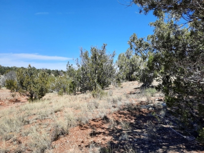 3 acres of Northern AZ off grid mountain property - image 1