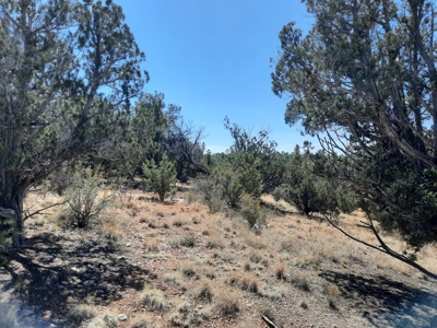 3 acres of Northern AZ off grid mountain property - image 8