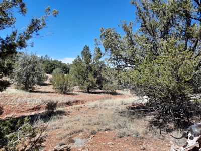 3 acres of Northern AZ off grid mountain property - image 6
