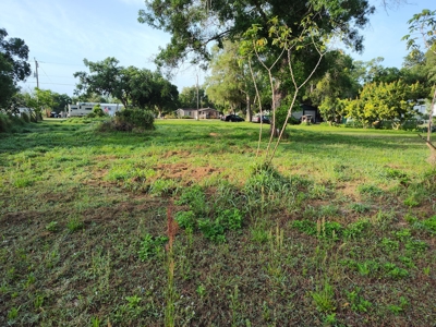 Buildable half acre of land in Arcadia, FL! - image 6