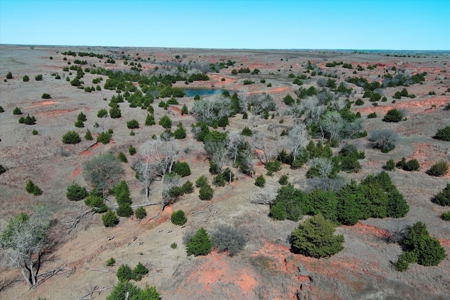 Custer County, OK Land For Sale - image 13