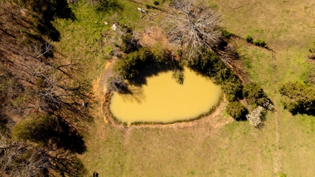 Country Home and Acreage in Oregon County, Missouri - image 26