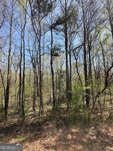 1356 Cowan Rd Griffin, GA 30223 - image 8