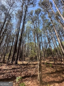 1356 Cowan Rd Griffin, GA 30223 - image 4
