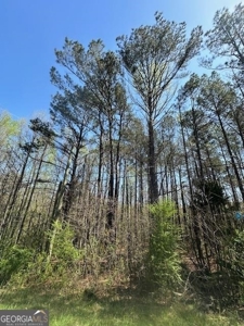 1356 Cowan Rd Griffin, GA 30223 - image 7