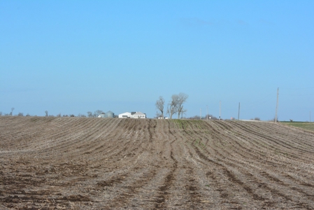 Farm Land For Sale - image 18