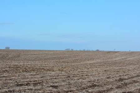 Farm Land For Sale - image 16
