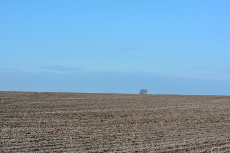 Farm Land For Sale - image 3