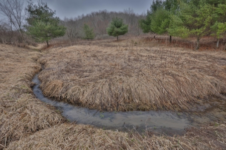 Hunting Land for Sale in Vernon County, Wisconsin - image 11