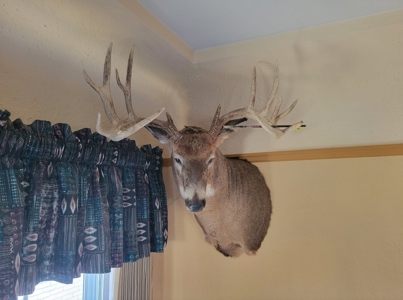 Hunting Land for Sale in Vernon County, Wisconsin - image 1