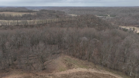 Hunting Land for Sale in Vernon County, Wisconsin - image 15