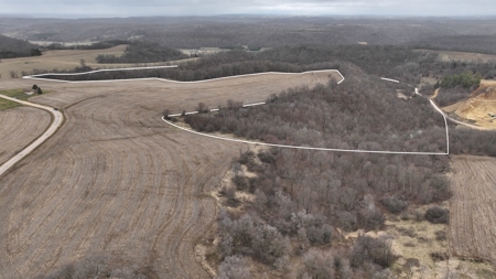 Hunting Land for Sale in Vernon County, Wisconsin - image 4