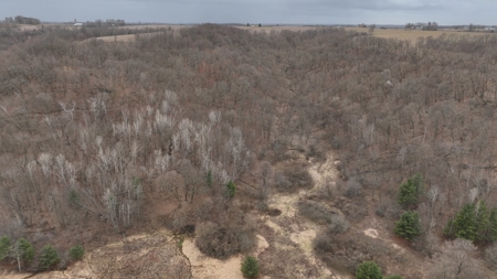 Hunting Land for Sale in Vernon County, Wisconsin - image 19